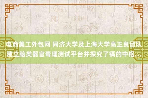 电商美工外包网 同济大学及上海大学高正良团队建立脑类器官毒理测试平台并探究了镉的中枢…