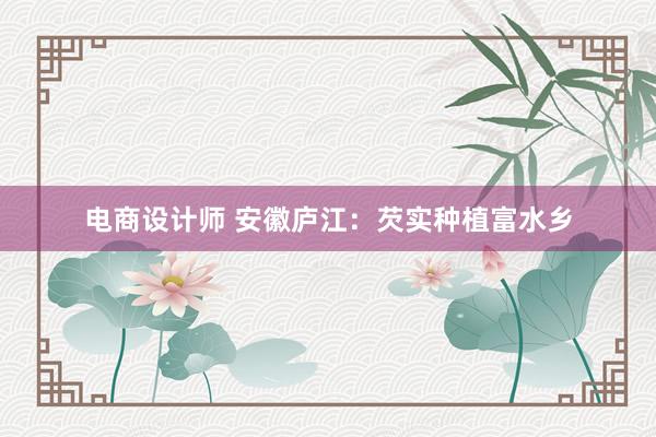 电商设计师 安徽庐江：芡实种植富水乡