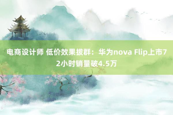 电商设计师 低价效果拔群：华为nova Flip上市72小时销量破4.5万