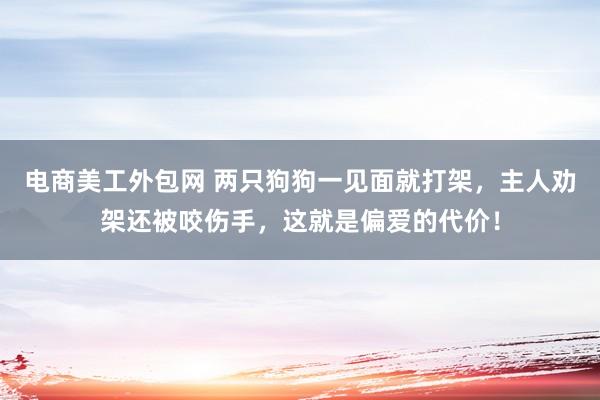 电商美工外包网 两只狗狗一见面就打架，主人劝架还被咬伤手，这就是偏爱的代价！