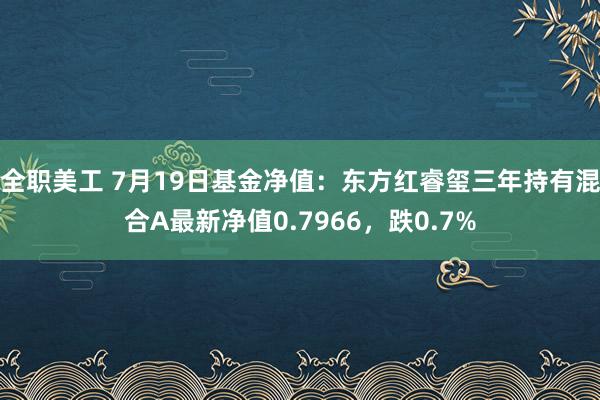 全职美工 7月19日基金净值：东方红睿玺三年持有混合A最新净值0.7966，跌0.7%