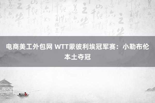 电商美工外包网 WTT蒙彼利埃冠军赛：小勒布伦本土夺冠