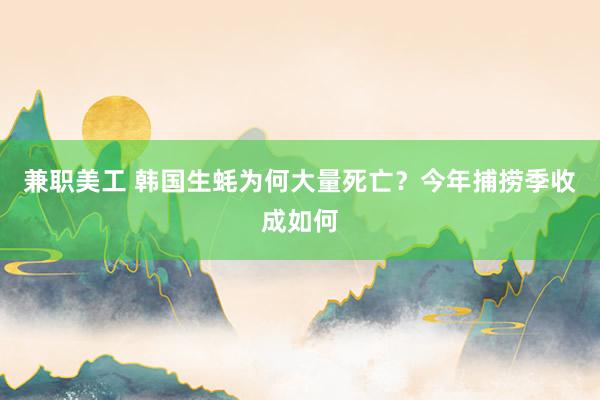 兼职美工 韩国生蚝为何大量死亡？今年捕捞季收成如何